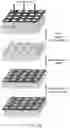 Fig. 13 - DYNAMIC POLYMER SURFACES FOR SCREENING, ENRICHMENT, AND HARVESTING OF CELLS AND OTHER SOFT COLLOIDAL PARTICLES