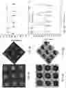Fig. 14 - DYNAMIC POLYMER SURFACES FOR SCREENING, ENRICHMENT, AND HARVESTING OF CELLS AND OTHER SOFT COLLOIDAL PARTICLES