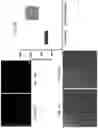 Fig. 19 - DYNAMIC POLYMER SURFACES FOR SCREENING, ENRICHMENT, AND HARVESTING OF CELLS AND OTHER SOFT COLLOIDAL PARTICLES