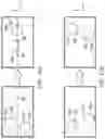 Fig. 16 - Flow-through paramagnetic particle-based cell separation and paramagnetic particle removal