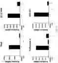 Fig. 05 - COMPOSITION COMPRISING LACTOBACILLUS SAKEI CVL-001 OR CULTURE LIQUID THEREOF FOR ALLEVIATING, PREVENTING, OR TREATING BONE DISEASES OR METABOLIC DISEASES