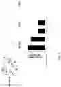 Fig. 07 - COMPOSITION COMPRISING LACTOBACILLUS SAKEI CVL-001 OR CULTURE LIQUID THEREOF FOR ALLEVIATING, PREVENTING, OR TREATING BONE DISEASES OR METABOLIC DISEASES