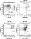 Fig. 01 - METHODS FOR DETECTING DISEASES AND DISORDERS CHARACTERIZED BY ABERRANT RED BLOOD CELL AGGREGATION
