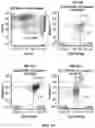 Fig. 05 - METHODS FOR DETECTING DISEASES AND DISORDERS CHARACTERIZED BY ABERRANT RED BLOOD CELL AGGREGATION