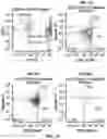 Fig. 07 - METHODS FOR DETECTING DISEASES AND DISORDERS CHARACTERIZED BY ABERRANT RED BLOOD CELL AGGREGATION