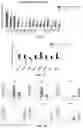 Fig. 02 - COMPOSITIONS AND METHODS FOR LONG TERM CULTURE OF HEPATOCYTES