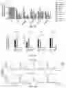 Fig. 08 - COMPOSITIONS AND METHODS FOR LONG TERM CULTURE OF HEPATOCYTES