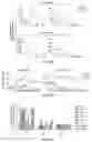 Fig. 09 - COMPOSITIONS AND METHODS FOR LONG TERM CULTURE OF HEPATOCYTES