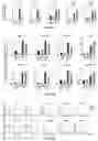 Fig. 11 - COMPOSITIONS AND METHODS FOR LONG TERM CULTURE OF HEPATOCYTES
