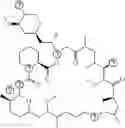 Fig. 33 - COMPOSITIONS AND METHODS FOR LONG TERM CULTURE OF HEPATOCYTES