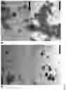Fig. 05 - Cell culture medium and method for generation of epithelial organoids from epithelial stem cells