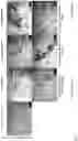 Fig. 07 - Cell culture medium and method for generation of epithelial organoids from epithelial stem cells