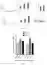 Fig. 22 - METHODS FOR CULTURING MESENCHYMAL STEM CELLS, PRODUCTS THEREOF, AND APPLICATIONS THEREOF