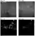 Fig. 30 - Methods of using PDX1-positive pancreatic endoderm cells and endocrine precursor cells