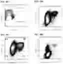 Fig. 35 - Methods of using PDX1-positive pancreatic endoderm cells and endocrine precursor cells