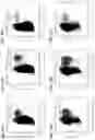 Fig. 54 - Methods of using PDX1-positive pancreatic endoderm cells and endocrine precursor cells