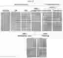 Fig. 03 - HUMAN INTESTINAL EPITHELIUM MODEL AND METHOD FOR PREPARING SAME