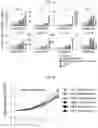 Fig. 04 - HUMAN INTESTINAL EPITHELIUM MODEL AND METHOD FOR PREPARING SAME