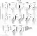 Fig. 06 - HUMAN INTESTINAL EPITHELIUM MODEL AND METHOD FOR PREPARING SAME