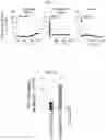 Fig. 14 - HUMAN INTESTINAL EPITHELIUM MODEL AND METHOD FOR PREPARING SAME