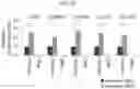 Fig. 17 - HUMAN INTESTINAL EPITHELIUM MODEL AND METHOD FOR PREPARING SAME