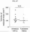 Fig. 21 - HUMAN INTESTINAL EPITHELIUM MODEL AND METHOD FOR PREPARING SAME