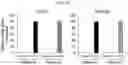 Fig. 25 - HUMAN INTESTINAL EPITHELIUM MODEL AND METHOD FOR PREPARING SAME