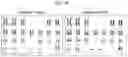 Fig. 28 - HUMAN INTESTINAL EPITHELIUM MODEL AND METHOD FOR PREPARING SAME