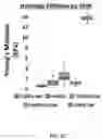 Fig. 05 - BIOFUNCTIONALIZED HYDROGEL FOR CELL CULTURE