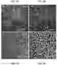 Fig. 14 - BIOFUNCTIONALIZED HYDROGEL FOR CELL CULTURE