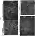 Fig. 20 - BIOFUNCTIONALIZED HYDROGEL FOR CELL CULTURE