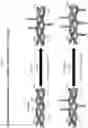 Fig. 23 - BIOFUNCTIONALIZED HYDROGEL FOR CELL CULTURE