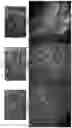 Fig. 25 - BIOFUNCTIONALIZED HYDROGEL FOR CELL CULTURE