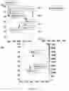 Fig. 07 - Modified enzymes