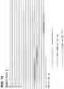Fig. 16 - CLASS 2 CRISPR-CAS RNA-GUIDED ENDONUCLEASES