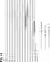 Fig. 19 - CLASS 2 CRISPR-CAS RNA-GUIDED ENDONUCLEASES