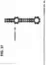 Fig. 38 - CLASS 2 CRISPR-CAS RNA-GUIDED ENDONUCLEASES
