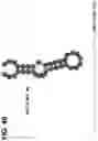 Fig. 41 - CLASS 2 CRISPR-CAS RNA-GUIDED ENDONUCLEASES
