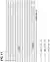 Fig. 42 - CLASS 2 CRISPR-CAS RNA-GUIDED ENDONUCLEASES