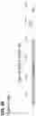 Fig. 49 - CLASS 2 CRISPR-CAS RNA-GUIDED ENDONUCLEASES