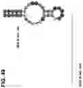 Fig. 50 - CLASS 2 CRISPR-CAS RNA-GUIDED ENDONUCLEASES