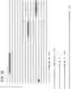 Fig. 57 - CLASS 2 CRISPR-CAS RNA-GUIDED ENDONUCLEASES