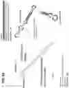 Fig. 65 - CLASS 2 CRISPR-CAS RNA-GUIDED ENDONUCLEASES
