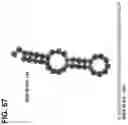 Fig. 68 - CLASS 2 CRISPR-CAS RNA-GUIDED ENDONUCLEASES