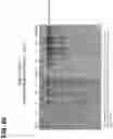 Fig. 81 - CLASS 2 CRISPR-CAS RNA-GUIDED ENDONUCLEASES