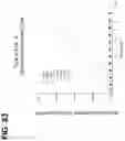 Fig. 84 - CLASS 2 CRISPR-CAS RNA-GUIDED ENDONUCLEASES