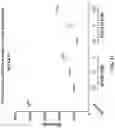 Fig. 16 - CHIMERIC CLOTTING FACTORS