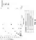 Fig. 24 - CHIMERIC CLOTTING FACTORS