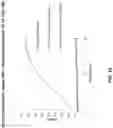 Fig. 29 - CHIMERIC CLOTTING FACTORS