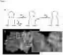 Fig. 02 - Tethering cysteine residues using cyclic disulfides